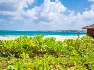 Orient Bay St Martin | Beach, Hotels & Things to Do